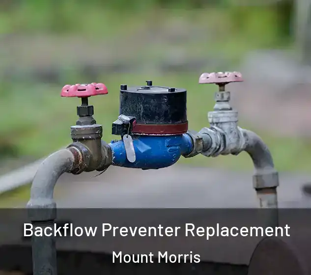  Backflow Preventer Replacement Mount Morris