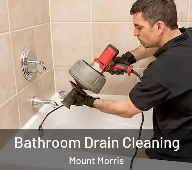  Bathroom Drain Cleaning Mount Morris