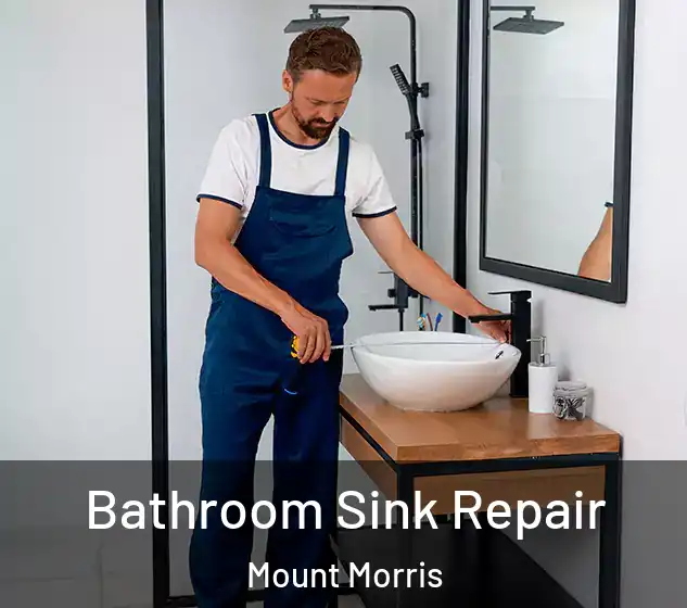  Bathroom Sink Repair Mount Morris