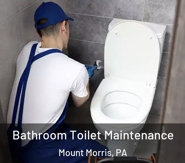 Bathroom Toilet Maintenance Mount Morris, PA