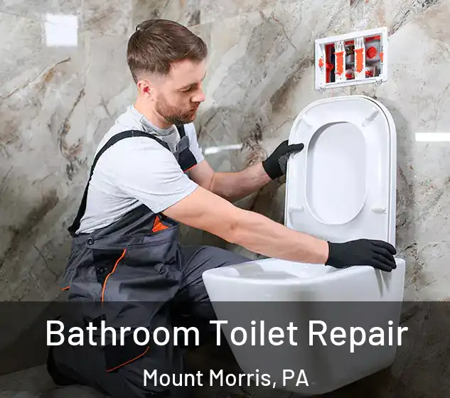  Bathroom Toilet Repair Mount Morris, PA