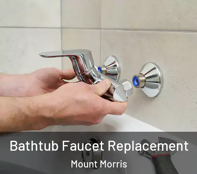  Bathtub Faucet Replacement Mount Morris