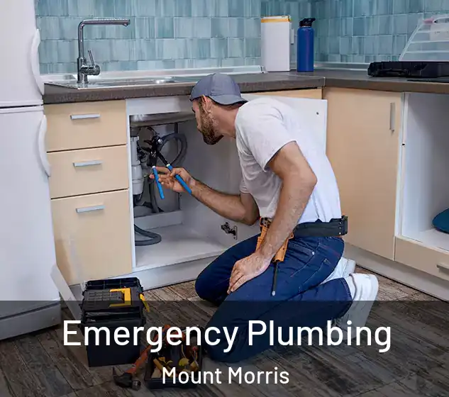  Emergency Plumbing Mount Morris