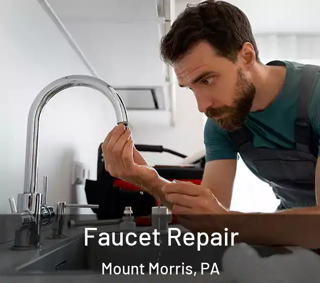  Faucet Repair Mount Morris, PA