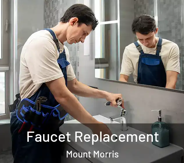  Faucet Replacement Mount Morris