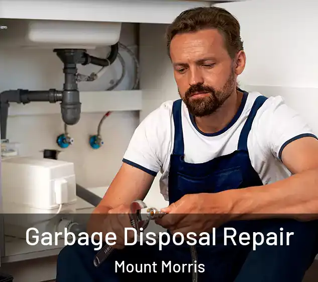  Garbage Disposal Repair Mount Morris
