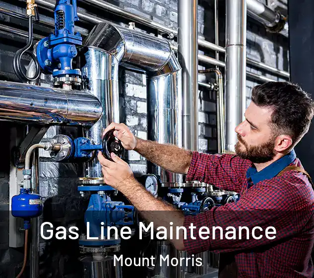  Gas Line Maintenance Mount Morris