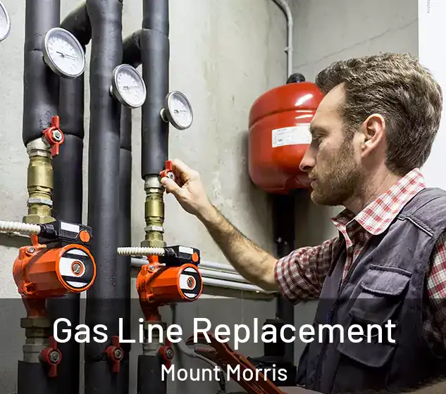  Gas Line Replacement Mount Morris
