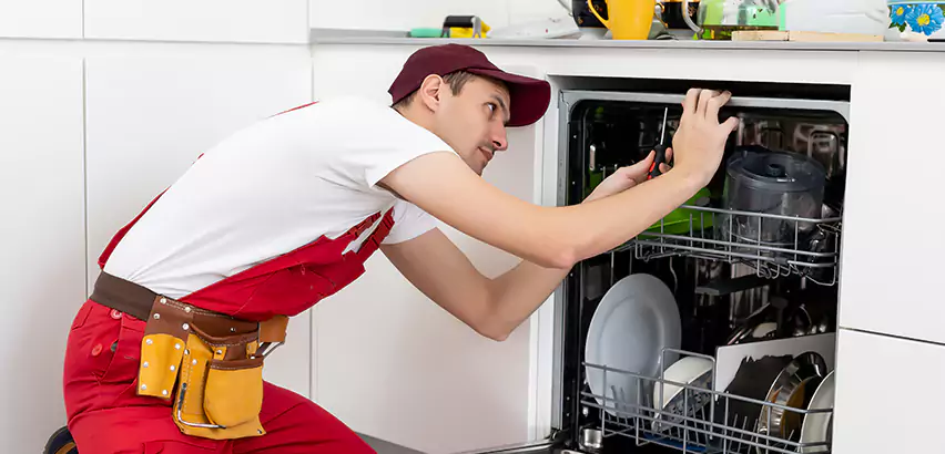 Scope of Kitchen Dishwasher Installation Services in Mount Morris, PA