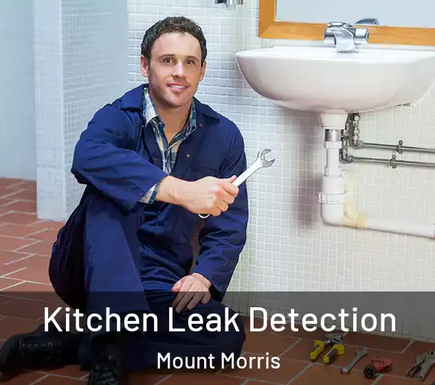  Kitchen Leak Detection Mount Morris