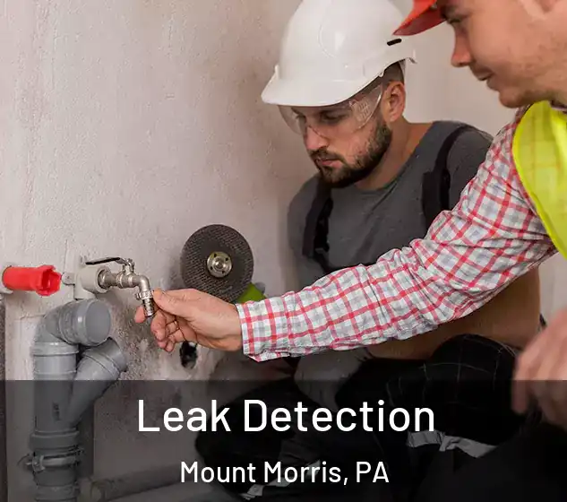  Leak Detection Mount Morris, PA