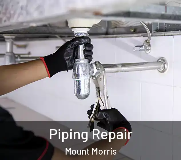  Piping Repair Mount Morris