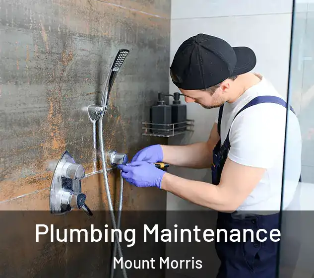  Plumbing Maintenance Mount Morris