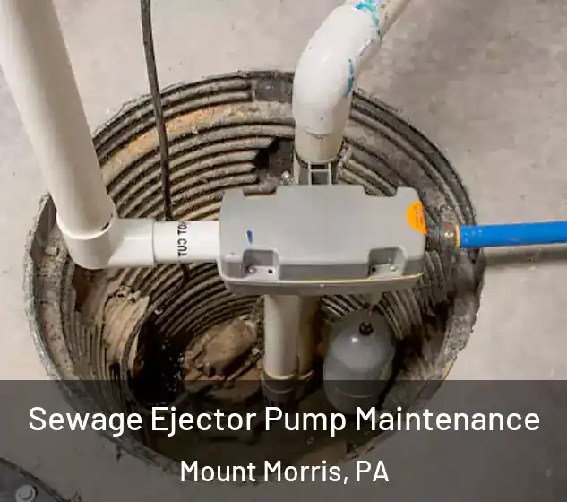  Sewage Ejector Pump Maintenance Mount Morris, PA