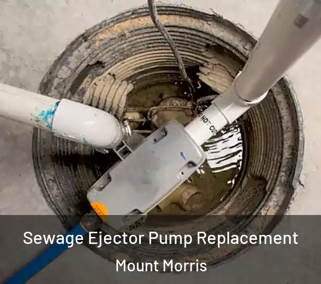  Sewage Ejector Pump Replacement Mount Morris