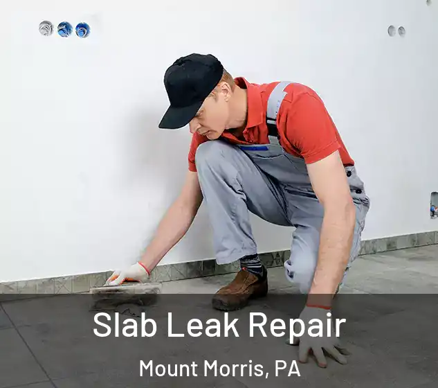  Slab Leak Repair Mount Morris, PA