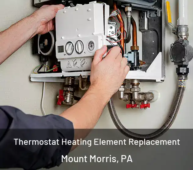  Thermostat Heating Element Replacement Mount Morris, PA