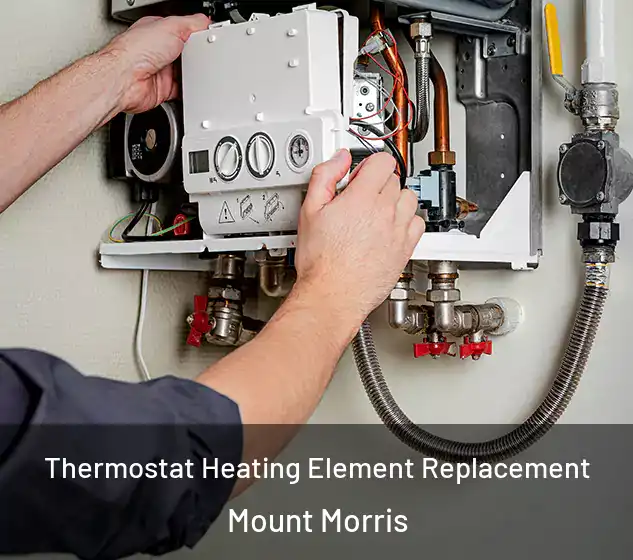  Thermostat Heating Element Replacement Mount Morris