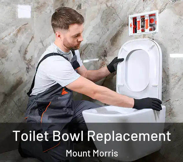  Toilet Bowl Replacement Mount Morris
