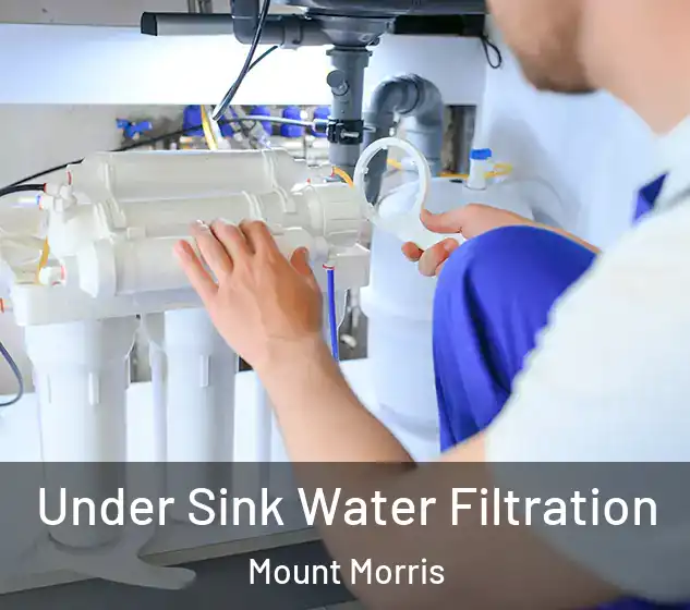 Under Sink Water Filtration Mount Morris