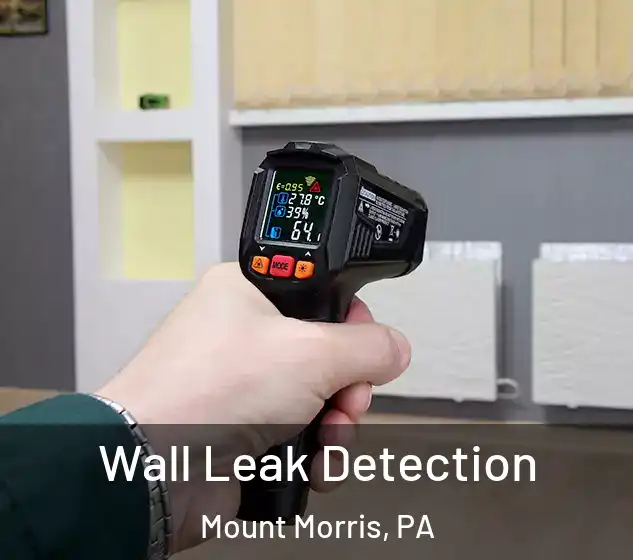  Wall Leak Detection Mount Morris, PA
