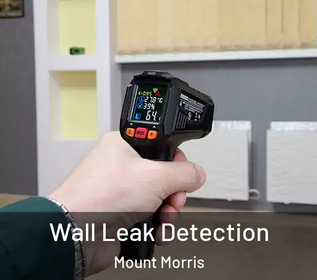  Wall Leak Detection Mount Morris