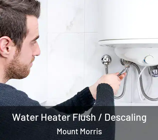  Water Heater Flush / Descaling Mount Morris