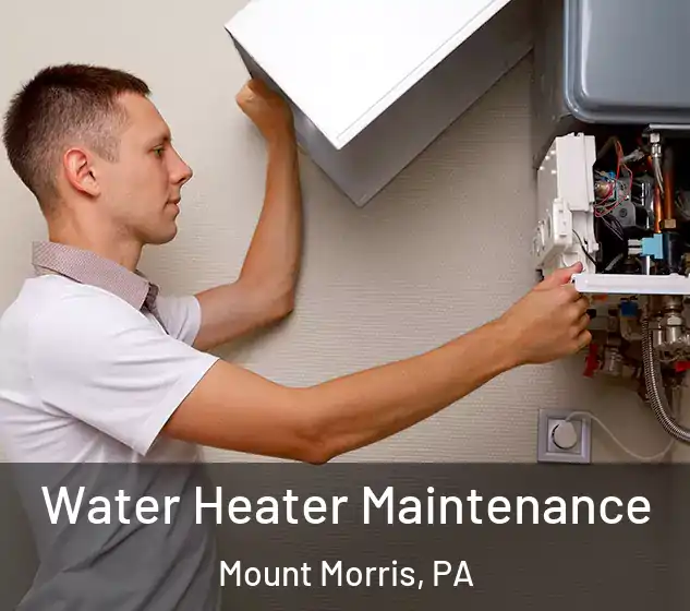  Water Heater Maintenance Mount Morris, PA