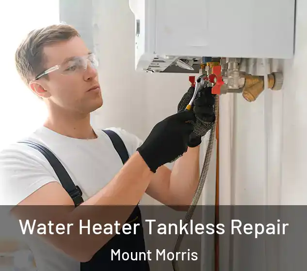  Water Heater Tankless Repair Mount Morris
