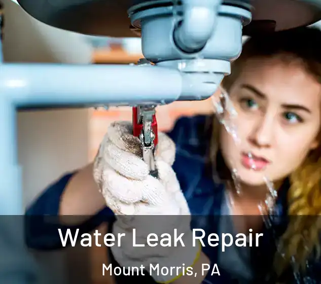  Water Leak Repair Mount Morris, PA