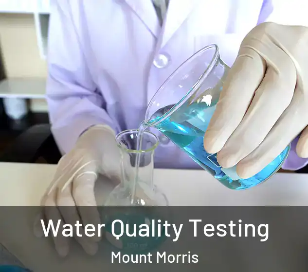  Water Quality Testing Mount Morris